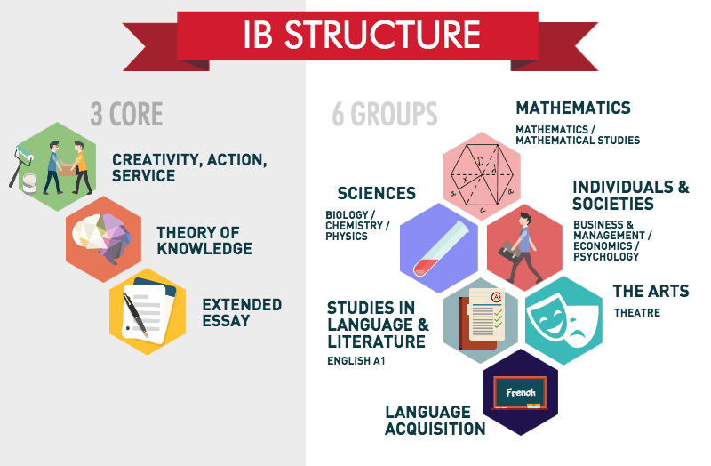 ib structure