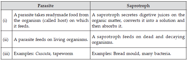 nutrition-in-plants