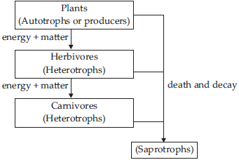 nutrition-in-plants