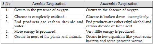 respiration