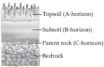 SOLVEDDraw a typical soil profile indicating the principal layers or  horizons Describe the characteristics of each layer