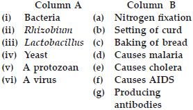 microorganism