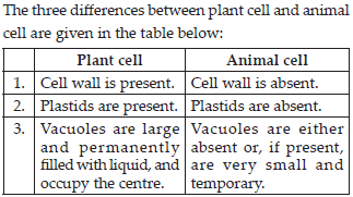 NCERT Solutions : Cell (Biology) Class 8