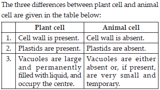 Ncert Solutions Cell Biology Class 8