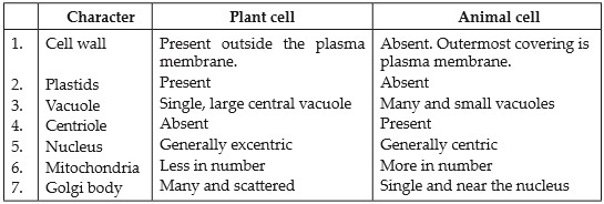 NCERT Solutions : Cell-The Fundamental Unit of Life (Biology) Class 9