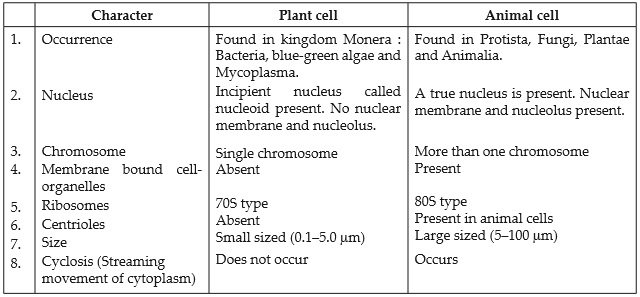 NCERT Solutions : Cell-The Fundamental Unit of Life (Biology) Class 9