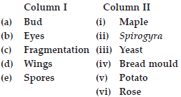 reproduction-in-plants